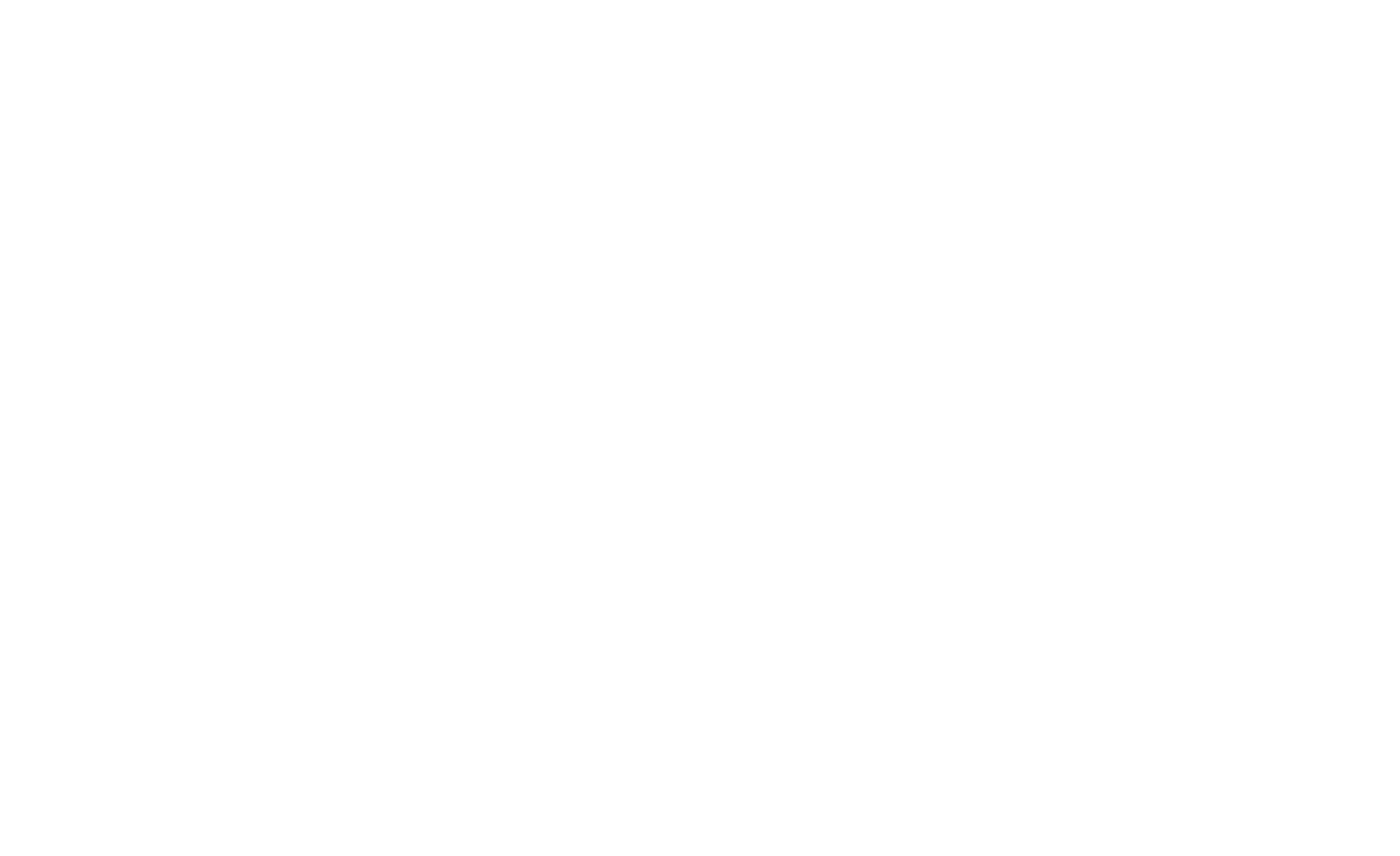 Vindico logo